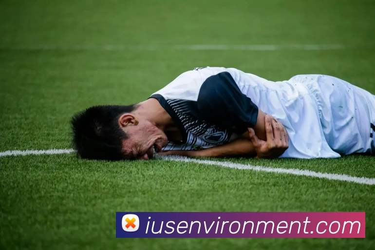 尊龙凯时z6官网认证APP 封面图